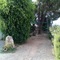 B&B Il Vigneto - map