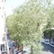JMG Hostel Madrid - map