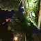 Flora By Crossroads Hotel - map