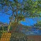 Seeking - Alishan Sunrise - map