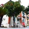 Naples Experience Backpackers Hostel - map