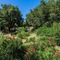 Campo Di Mare - map