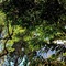 Chira Glamping Resort Monteverde - map
