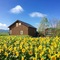 Country Cottage Wakiaiai - map