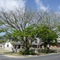 Paseo Suites - map