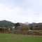 The International Cultural And Creative Bamboo Village - map