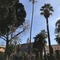 Residenza Roma Imperiale - map