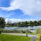 Lusty Beg Island - map