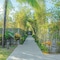 Grandvrio Ocean Resort Danang - map