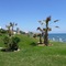 Apartment Playa De La Lucera - map