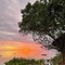 The Island - Pongwe Lodge - Adults Only - map