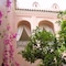 Riad Sidi Omar - map