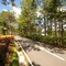 Sam Tuyen Lam Resort - map