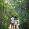 The Escape At Nonsuch Bay - Adults Only - map