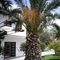 Mastorakis Hotel And Studios - map