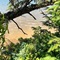 Seagate: Starboard~Coos Bay~Premiere Property - map