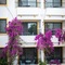 Payam Hotel - map