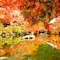 Eph Kyoto - map