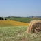 Podere Maremma Spa & Ristorante - map
