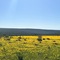 Simbavati Cederberg Ridge - map