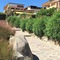 Baia De Bahas Apartments & Resort - map