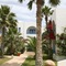 Dar El Manara Djerba Hotel & Aparts - map