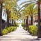 Camping Tres Estrellas Mediterráneo - map