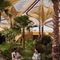 Six Senses Southern Dunes, The Red Sea - map