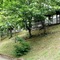 Camping Lac De Villefort - map
