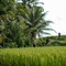 Hideaway Villas Bali – Ubud By Kanaan Hospitality - map