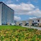 Royal M Resort Al Aqah Beach Resort - map