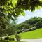 I Due Roccoli - map