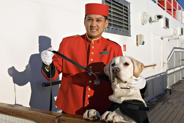 QM Steward