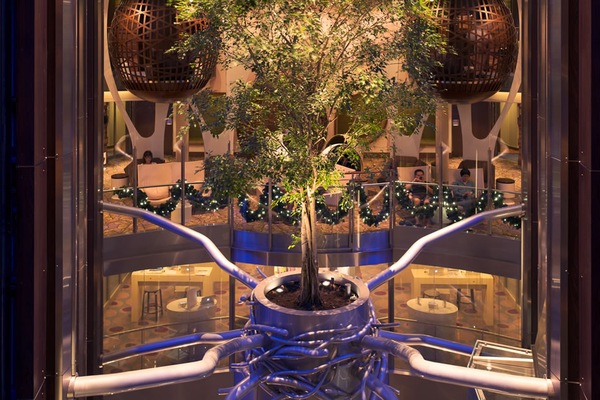 Image Celebrity Reflection 25