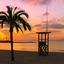 Chollo 3* El Arenal