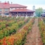 Hotel Spa Tudanca Aranda