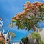 Los Olivos Beach Resort