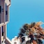 Hotel Do Cerro