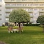 Axis Ofir Beach Resort Hotel