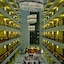 Maritim Hotel & Internationales Congress Center Dresden