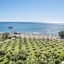 Apollo Beach