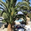 Naxos Summerland Resort