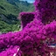 Positano Art Hotel Pasitea