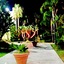 Hotel Akrabello
