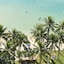 Park Shore Waikiki