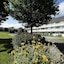 Brit Hotel Confort Dinan Taden