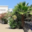 Les Sables Noirs & Spa