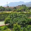 La Hotel & Resort