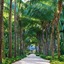 Sheraton Hua Hin Pranburi Villas