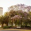 Park Tower, A Luxury Collection Hotel